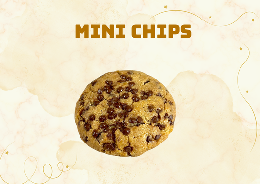 Mini Chips